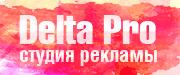   Delta Pro